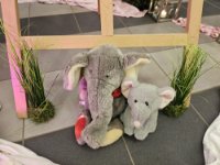 ein Bild aus dem Album