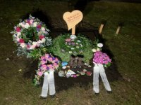 ein Bild aus dem Album