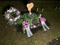 ein Bild aus dem Album